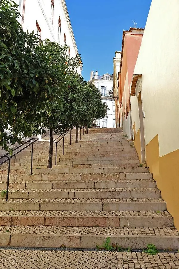 Bl Bairro Alto Famous Bica Funicular Street View Apartment Lisbon Portugal